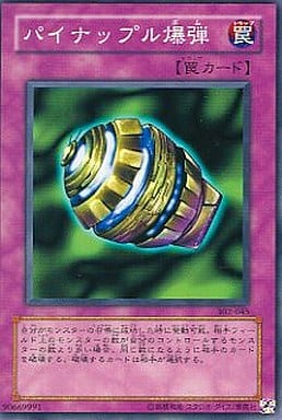 [N] 302-045 パイナップル爆弾
