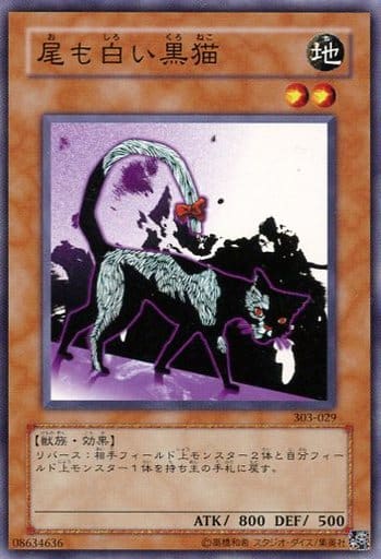 [N] 303-029 尾も白い黒猫