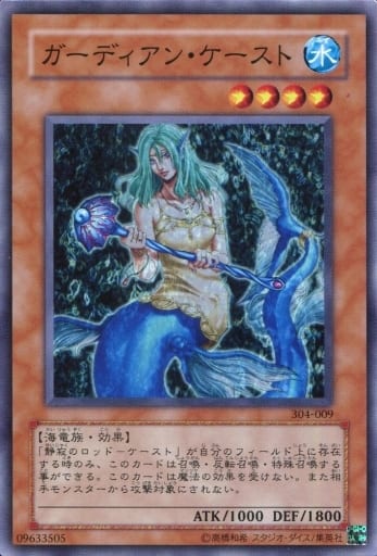[N] 304-009 ガーディアン・ケースト