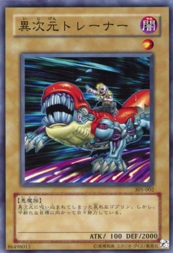 [N] 305-002 異次元トレーナー