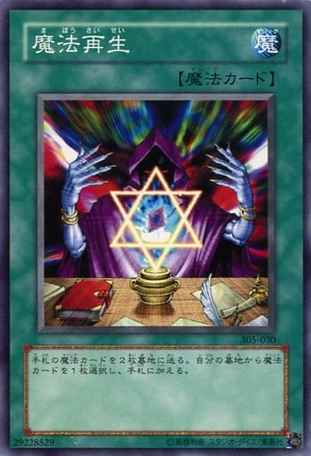 [N] 305-030 魔法再生