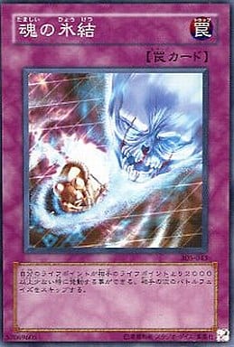 [N] 305-043 魂の氷結