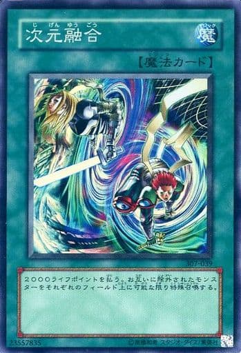 [SR] 307-039 次元融合