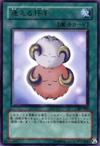 [R] 307-037 迷える仔羊