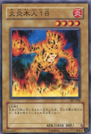 [N] 307-006 火炎木人18