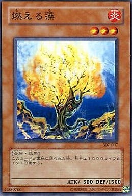 [N] 307-007 燃える藻