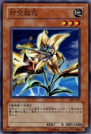 [N] 307-021 対空放花