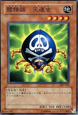 [N] 307-024 髑髏顔 天道虫