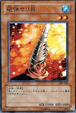 [N] 307-030 砲弾ヤリ貝