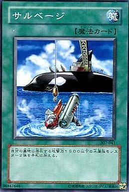 [N] 307-041 サルベージ