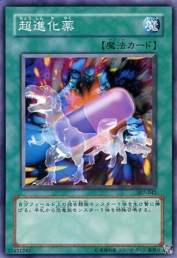 [N] 307-042 超進化薬
