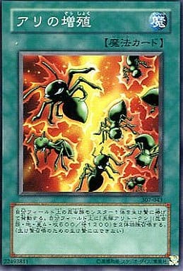 [N] 307-043 アリの増殖