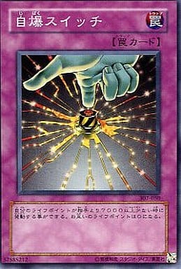 [N] 307-050 自爆スイッチ