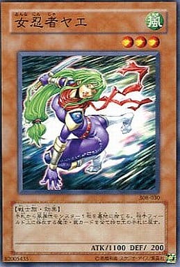 [N] 308-030 女忍者ヤエ