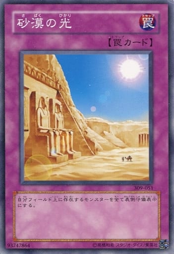 [N] 309-051 砂漠の光