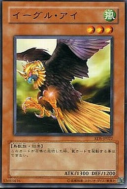 [N] RDS-JP022 イーグル・アイ