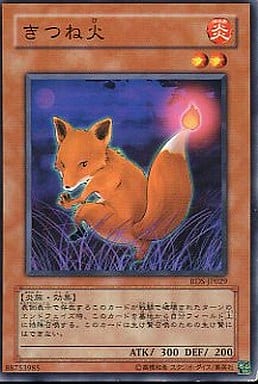 [N] RDS-JP029 きつね火