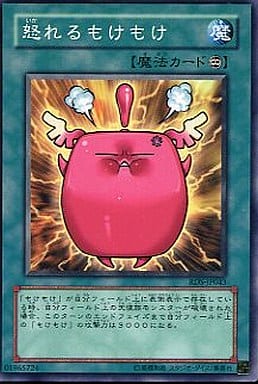[N] RDS-JP043 怒れるもけもけ