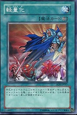 [N] RDS-JP047 軽量化