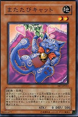 [N] FET-JP013 またたびキャット