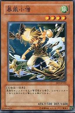 [N] FET-JP030 暴風小僧