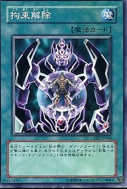 [N] FET-JP044 拘束解除