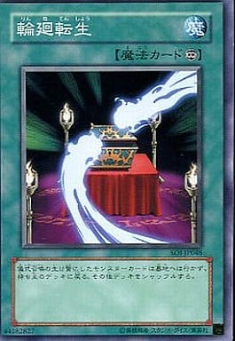 [N] SOI-JP048 輪廻転生