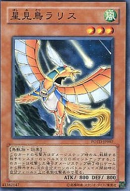 [N] POTD-JP007 星見鳥ラリス