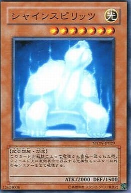 [N] STON-JP029 シャインスピリッツ