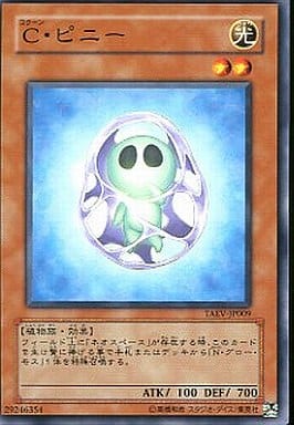 [N] TAEV-JP009 C・ピニー