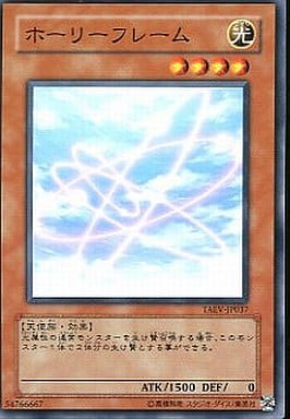 [N] TAEV-JP037 ホーリーフレーム