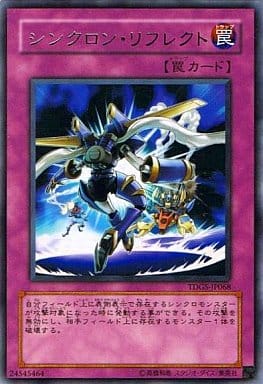 [R] TDGS-JP068 シンクロン・リフレクト
