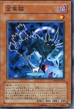 [N] TDGS-JP034 金華猫