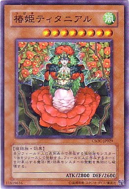 [SR] CSOC-JP029 椿姫ティタニアル