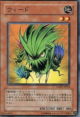 [N] CSOC-JP024 ウィード