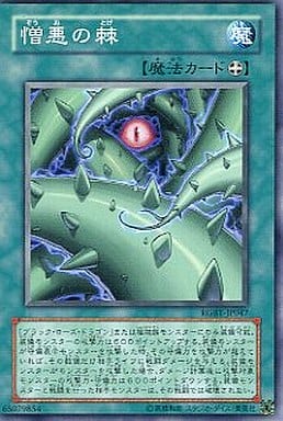 [N] RGBT-JP047 憎悪の棘