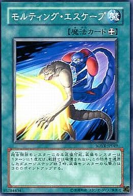 [N] SOVR-JP049 モルティング・エスケープ