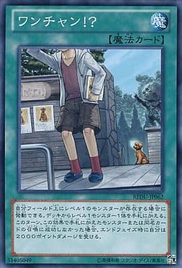 [N] REDU-JP062 ワンチャン！？