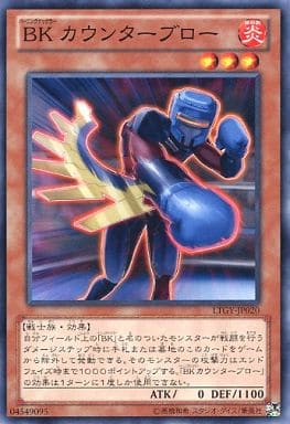 [N] LTGY-JP020 BK カウンターブロー