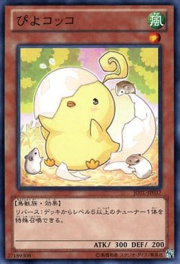 [N] JOTL-JP037 ぴよコッコ
