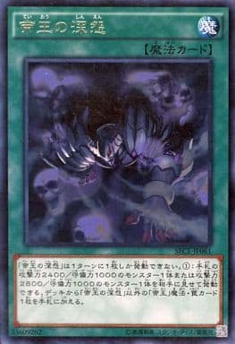 [R] SECE-JP061 帝王の深怨