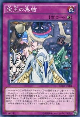[N] SECE-JP084 宝玉の集結