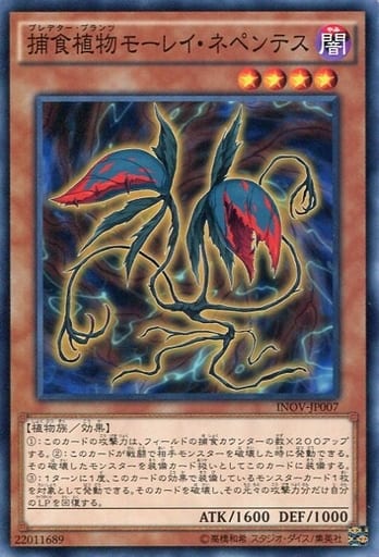 [N] INOV-JP007 捕食植物モーレイ・ネペンテス