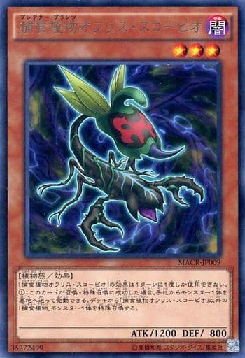 [R] MACR-JP009 捕食植物オフリス・スコーピオ