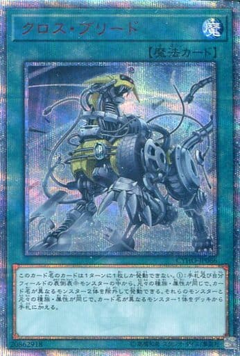 [20thSE] CYHO-JP066 クロス・ブリード