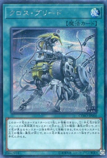 [SE] CYHO-JP066 クロス・ブリード