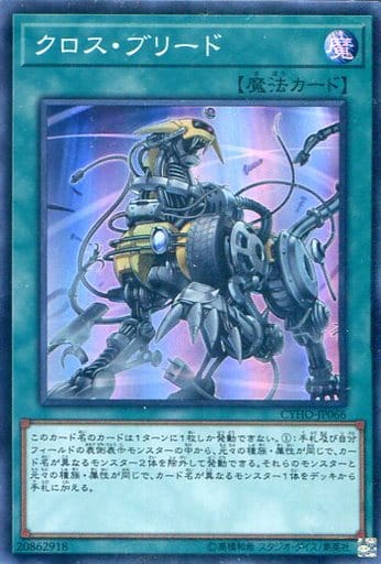 [SR] CYHO-JP066 クロス・ブリード