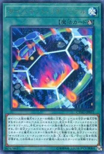 [R] CYHO-JP051 サイバネット・リチューアル