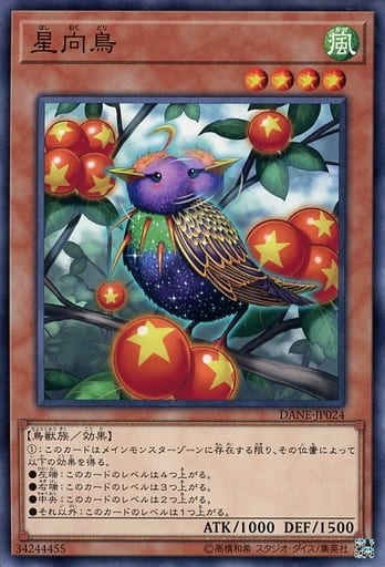 [N] DANE-JP024 星向鳥