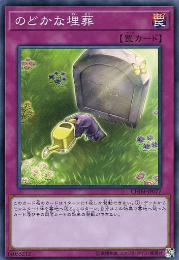 [SR] CHIM-JP077 のどかな埋葬
